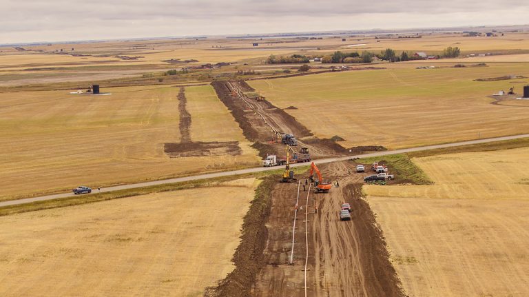 Yellow field with tractors